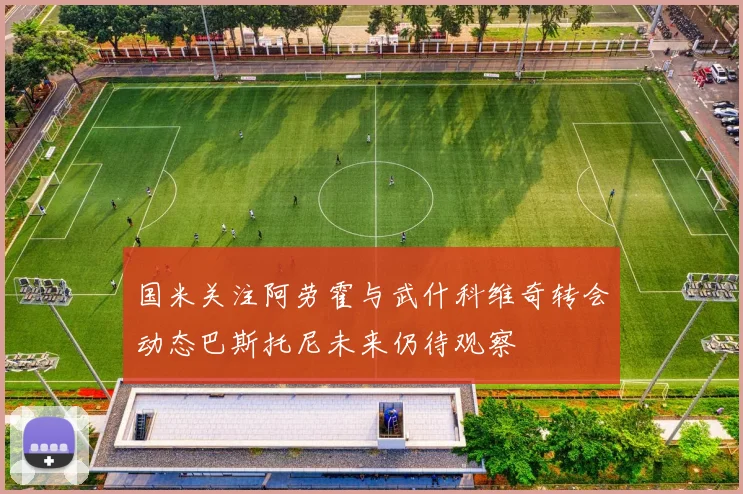 国米关注阿劳霍与武什科维奇转会动态巴斯托尼未来仍待观察