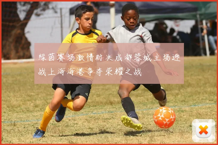 绿茵赛场激情对决成都蓉城主场迎战上海海港争夺荣耀之战